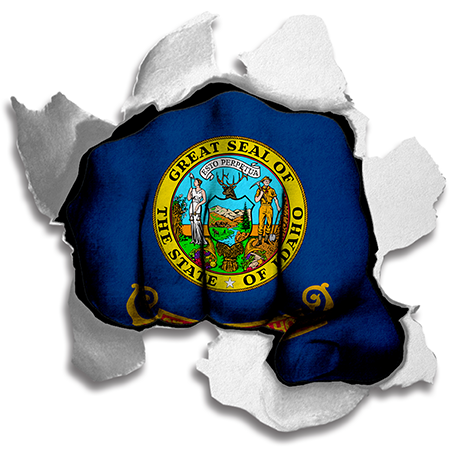 Fist Idaho State Flag Logo iron on paper